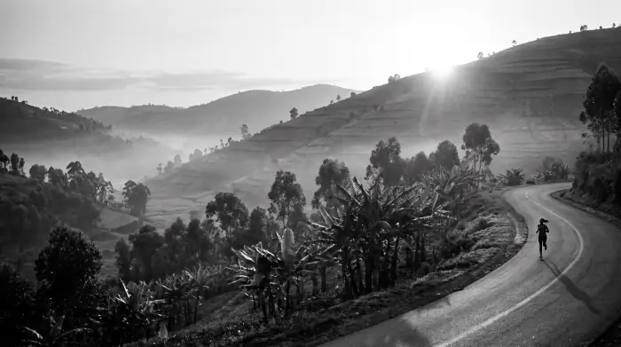 A lone runner on a winding road through terraced hills at dawn, mist in the valleys